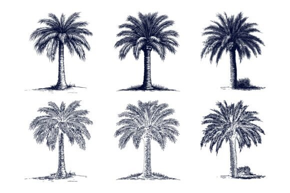 Palm AI EPS Illustration Set for Flexible Creative Projects